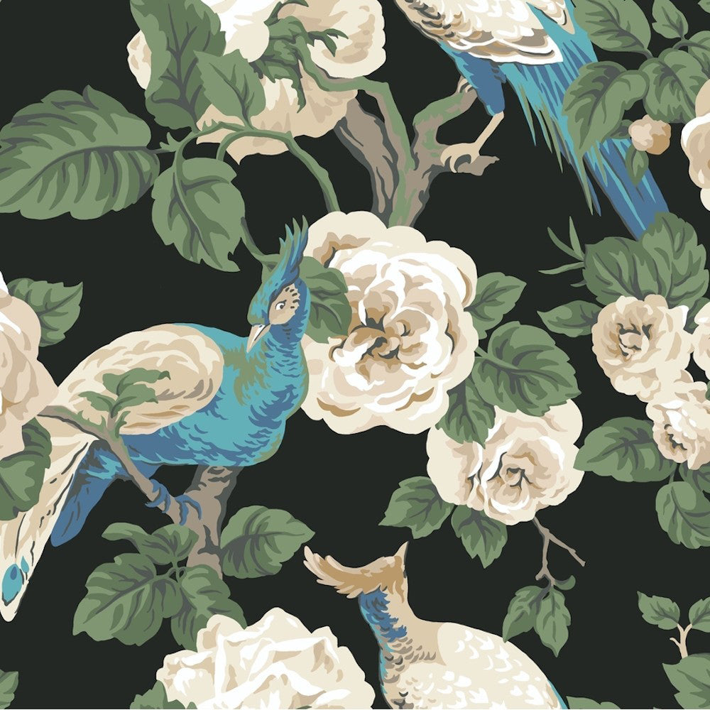 An intricate pattern featuring vibrant peacocks with colorful plumage perched among large, blooming ivory and white roses. The detailed greenery and blossoms stand out against a dark background, creating a rich and elegant York Wallcoverings Garden Plume Wallpaper (60 SqFt) design.