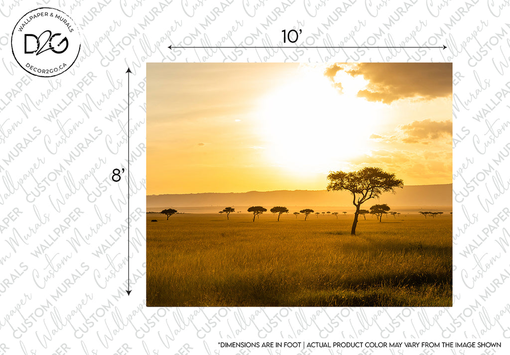 A stunning Decor2Go Wallpaper Mural showcases a sunset view over the savannah, featuring an iconic acacia tree in the center with others scattered across the landscape, under a vast, golden sky.
