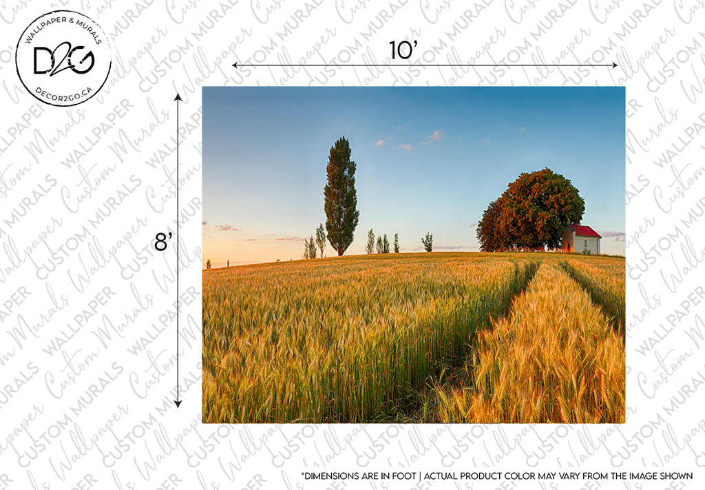 A scenic landscape featuring a golden wheat field with a clear track leading to a red barn and tall trees under a blue sky during sunrise, showcasing the Prairie Sunrise Wallpaper Mural by Decor2Go Wallpaper Mural.