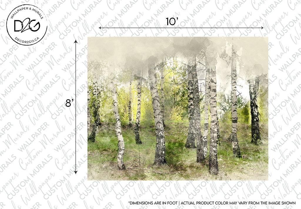 Decor2Go Wallpaper Mural featuring the Faded Birch wallpaper mural design, showcasing an artistic rendition of birch trees in a light, serene deciduous forest setting. Measurements are displayed, suggesting customizable sizes for home decor.