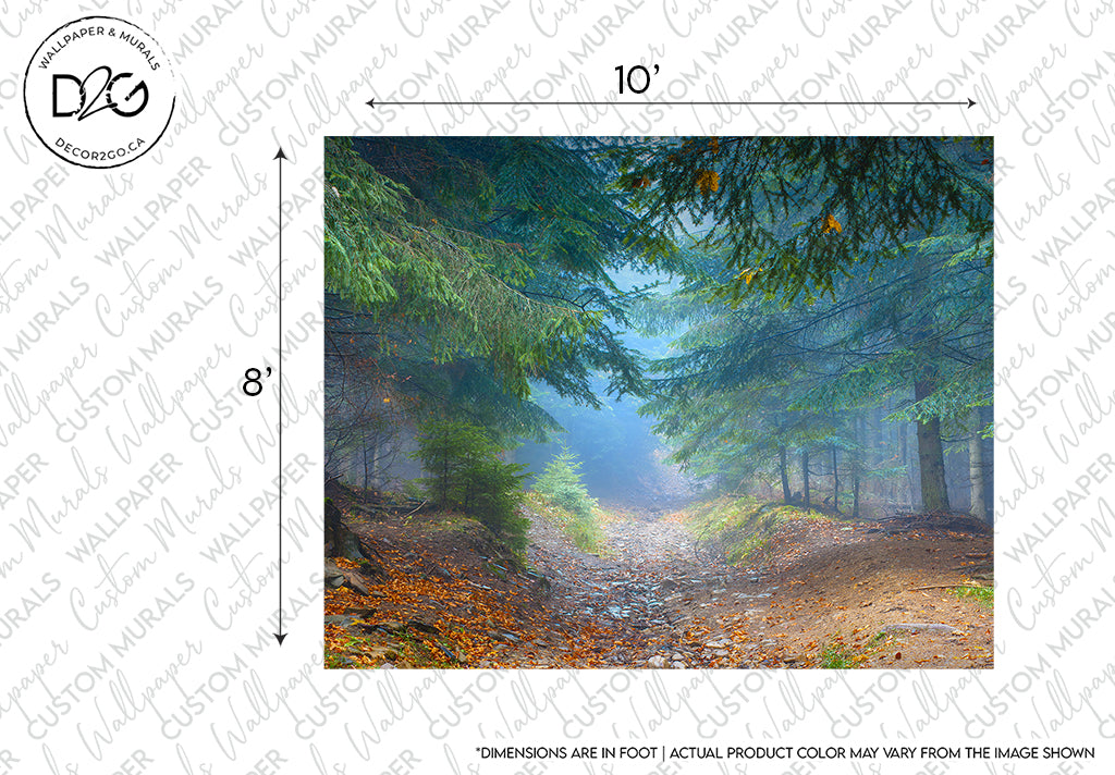A serene Decor2Go Wallpaper Mural depicting a foggy forest path surrounded by tall evergreen trees with emerald-hued trunks, with dimensions labeled as 10 by 8 feet. Notations