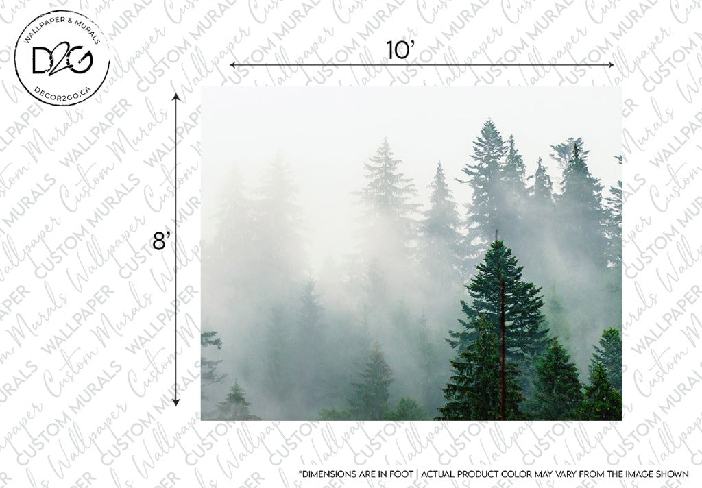 Decor2Go Misty Forest Wallpaper Mural depicting a serene woodland scene with tall pine trees enveloped in a light fog under a bright sky. This wallpaper measures 10 feet by 8 feet and includes a disclaimer about color variation.