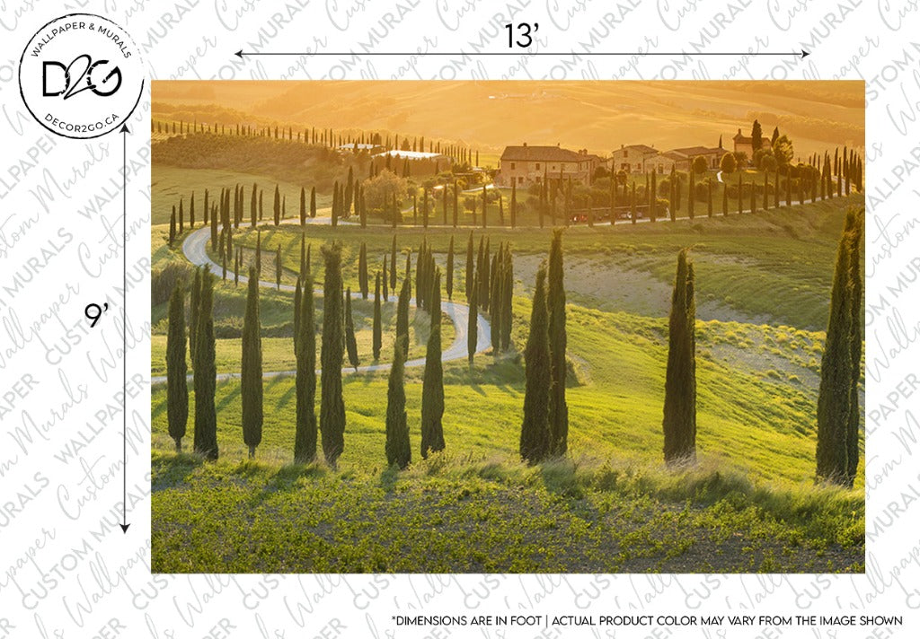 A scenic view of a winding road lined with tall cypress trees leads to a distant estate nestled in the rolling hills. Bathed in warm golden sunlight, this Decor2Go Wallpaper Mural: Toscana Trail highlights the rustic elegance of the Tuscany countryside. The image dimensions are marked as 13 feet by 9 feet.