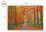 A Decor2Go Wallpaper Mural with a path flanked by trees featuring bright red and orange leaves, designed for rest and relaxation. Watermarks and measurement indicators overlay the image.