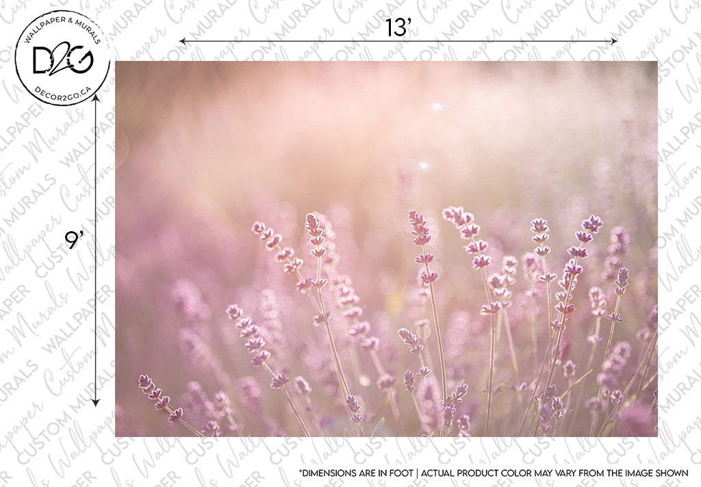 Close-up view of lavender flowers with a soft focus background in pink and purple hues, illuminated by gentle sunlight. A Field of Dreams Wallpaper Mural from Decor2Go Wallpaper Mural and a measurement guide overlay the image.