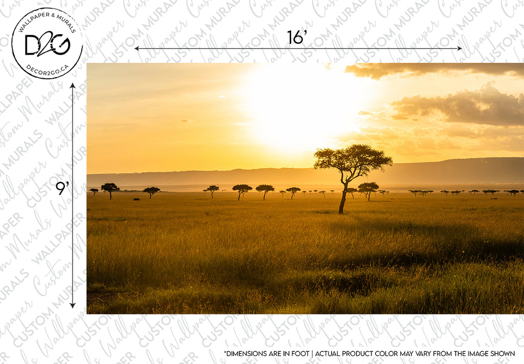 A scenic sunset over the African Savanna with a prominent isolated tree in the foreground and several dispersed trees in the background under an orange sky, with dimensions and Decor2Go Wallpaper Mural markings overlaid.