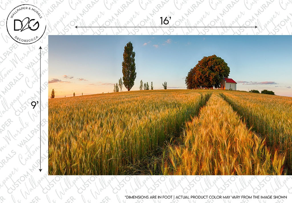 Golden wheat field at sunset with a path leading to a small red house and two tall trees under a clear sky. Sunlight casts long shadows and highlights the texture of the wheat in this Decor2Go Wallpaper Mural.