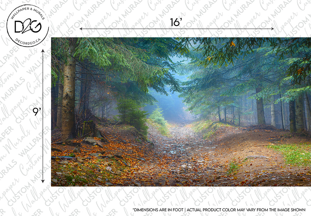 A foggy Decor2Go Wallpaper Mural scene of a rocky path splitting into two amidst tall trees, shown with a measurement overlay indicating 16 inches by 9 inches. The image includes a watermark for Magic Forest Wallpaper Mural.
