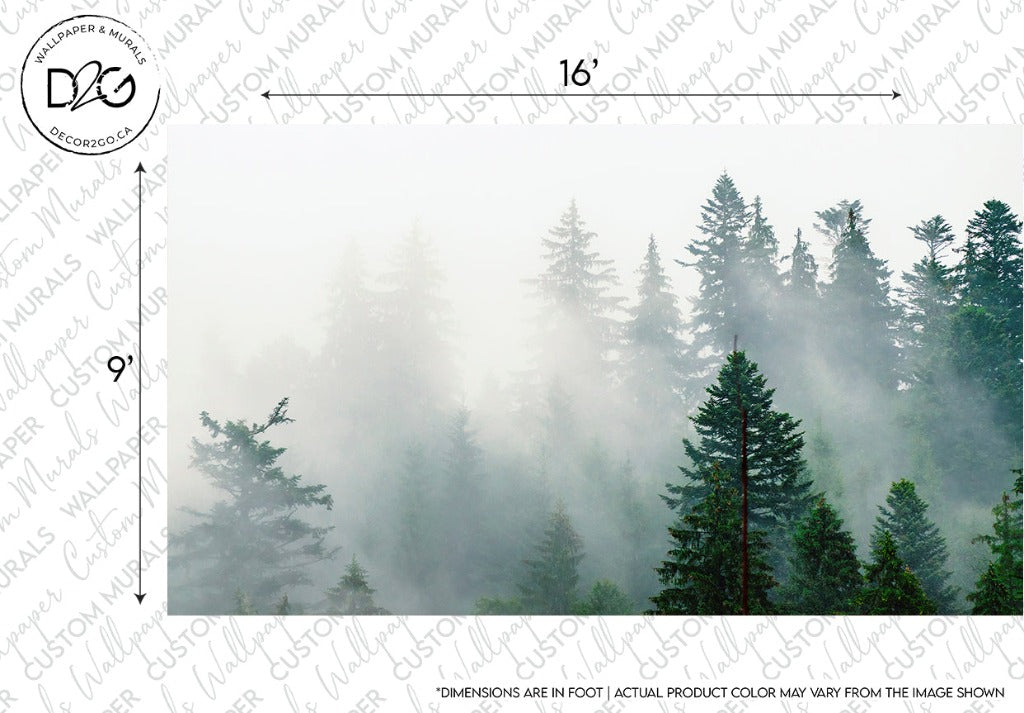 A tranquil forest scene with tall pine trees partially shrouded in mist, portrayed as a Decor2Go Wallpaper Mural, dimensions indicated as 16 inches by 9 inches on a scale overlay.
