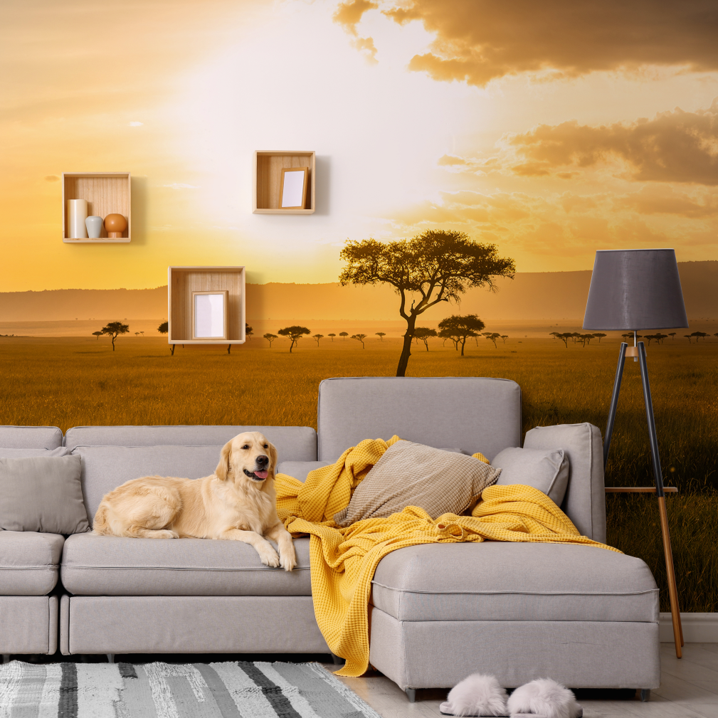 Dog in the sofa with a magnificent sunset scenery mural wallpaper
