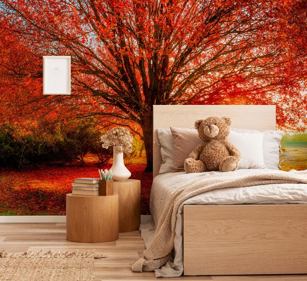 Kids room warm colors, and fall amazing trees wallpaper mural