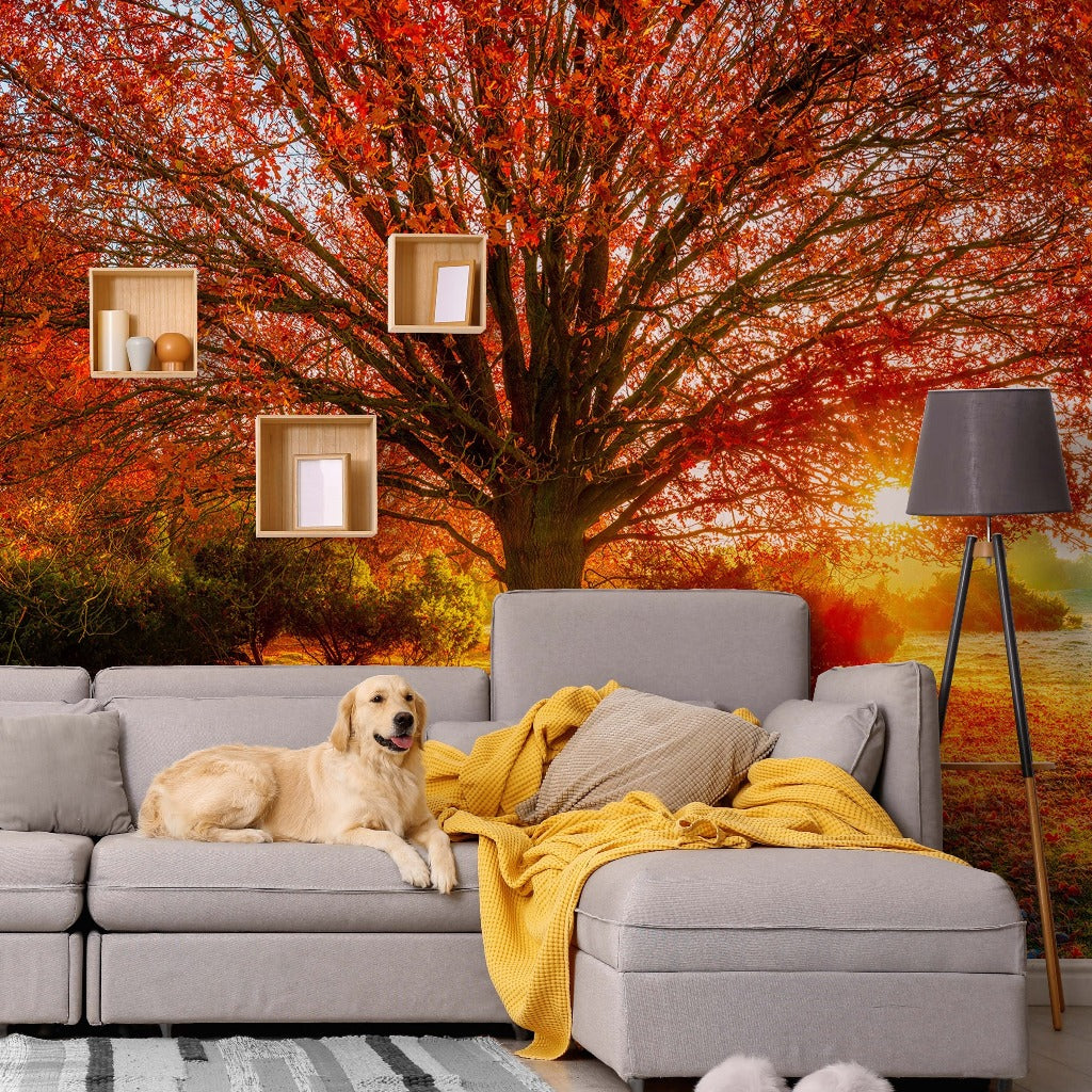 Livingroom warm colors, and fall amazing trees wallpaper mural 