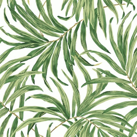 Green tropical leaves wallpaper with white background 