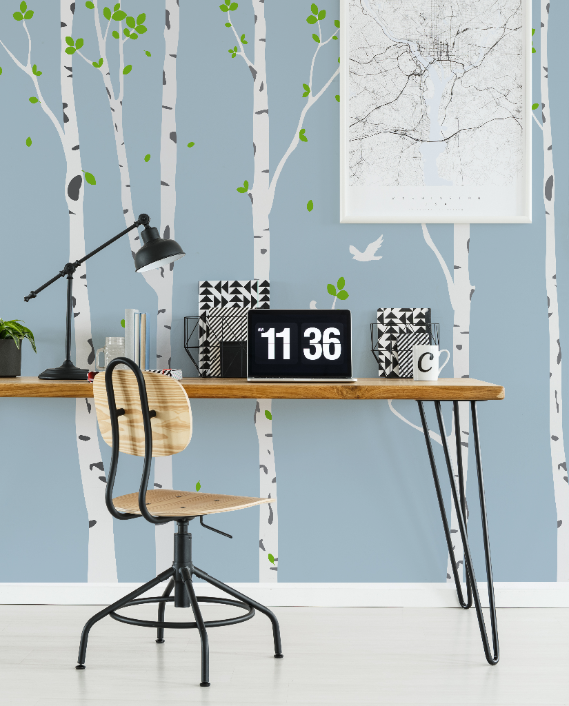 Office - studio space with Birch Trees and Birds Wallpaper Mural