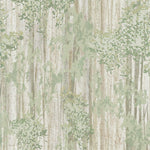 The Aspen Grove Forest Wallpaper Mural (2 Panels) by York Wallcoverings features abstract light green foliage and beige-brown tree trunks, creating a natural woodland camouflage ideal for a botanical accent wall.