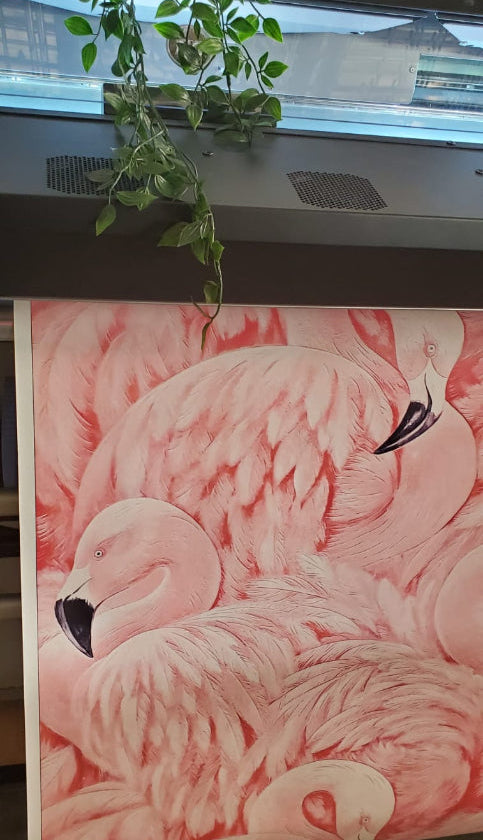 The Decor2Go Wallpaper Mural features a detailed Pink Flamingos Mural Wallpaper, propped against a cabinet under a window, exuding coastal charm. A leafy green plant trails down from above, highlighting the intricately depicted soft feathers of the flamingos.