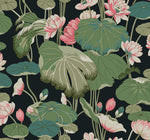 A detailed botanical illustration features pink lotus flowers and large green lotus leaves set against a dark background. The flowers are in various stages of bloom, and the leaves are depicted with intricate veins and shading. Perfect for Lotus Pond Cotton/Peacock Wallpaper Green, Pink (60 Sq.Ft.) by York Wallcoverings, it ensures easy installation and removal.