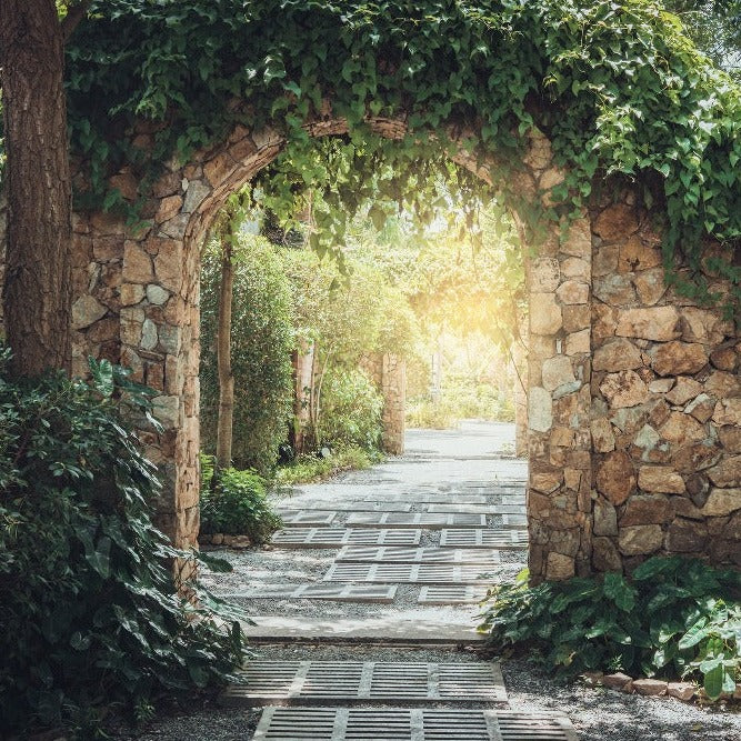 A serene garden pathway flanked by lush green ivy on a stone archway, with sunlight filtering through, transforming the Decor2Go Wallpaper Mural into a whimsical mural design that illuminates the cobblestone path ahead.