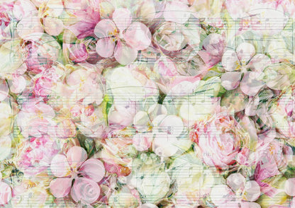 A Musical Roses Wallpaper Mural by Decor2Go featuring layers of translucent pastel pink and cream roses with underlying sheet music, creating a romantic, artistic blend of floral imagery and musical notes.