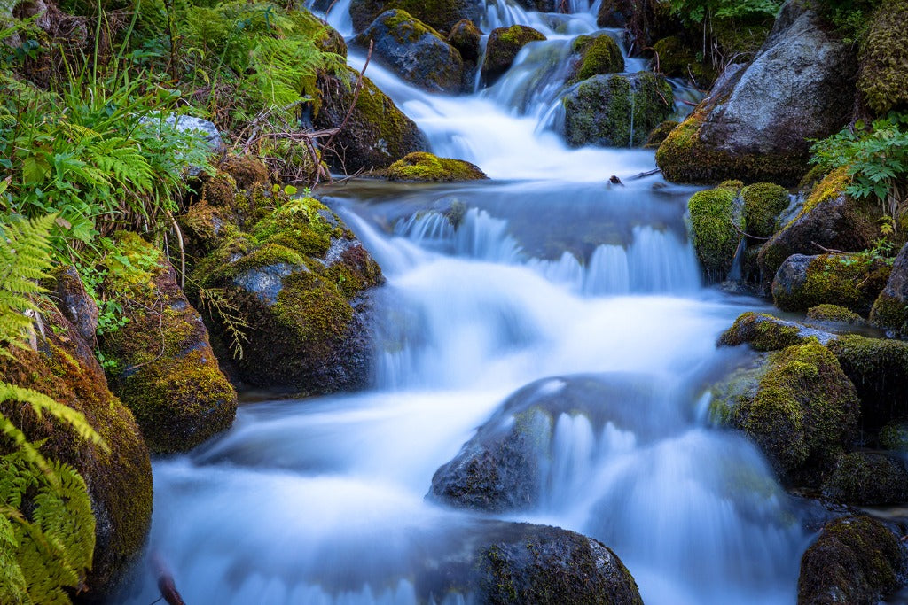 A serene long exposure photo of a forest stream flowing over moss-covered rocks, creating a smooth, white water effect amidst lush green foliage, perfect as a Decor2Go Wallpaper Mural.