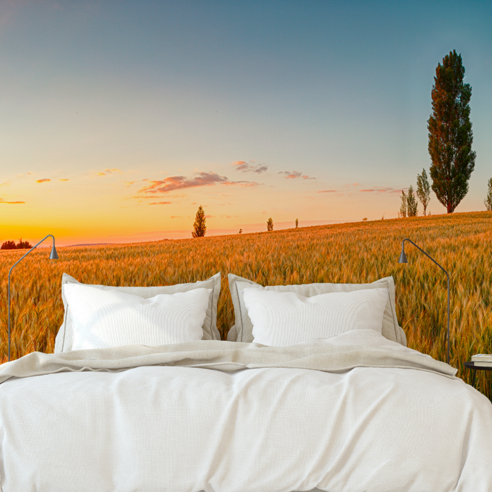 A serene bedroom setup with a bed and white pillows placed outdoors in a golden wheat field at sunset, featuring a vibrant sky and a solitary tree, enhanced by the Decor2Go Wallpaper Mural "Prairie Sunrise" mural.