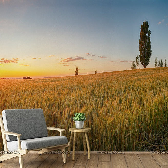 A modern chair and a small table with a plant beside a large Prairie Sunrise Wallpaper Mural from Decor2Go, featuring a red barn and tall trees under a vast sky.