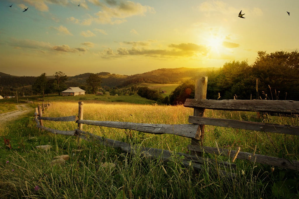 A serene Sunset Farm Wallpaper Mural over a rustic landscape, with a wooden fence in the foreground and a small farmhouse in the distance, surrounded by fields and hills under a golden sky with birds flying. Brand Name: Decor2Go Wallpaper Mural