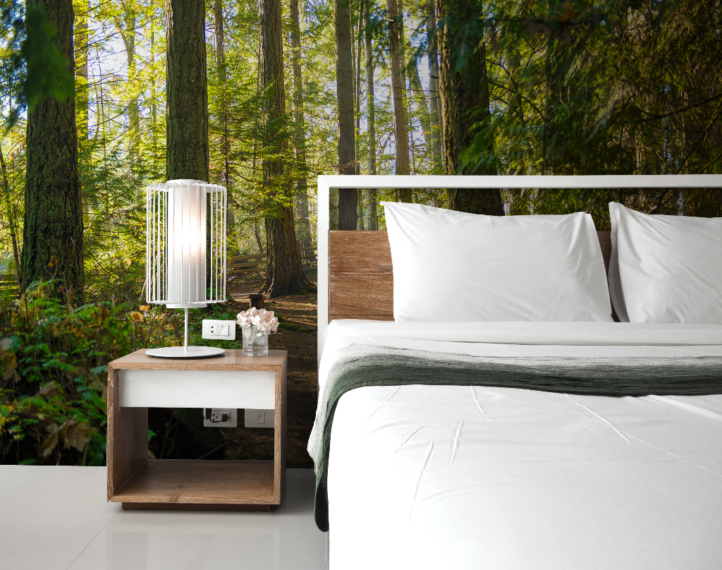 A modern bedroom with a large bed close to a glass wall offering a view of vibrant greenery. A bedside table with a lamp and clock is next to the bed featuring the Decor2Go Wallpaper Mural's Forest Path Wallpaper Mural.