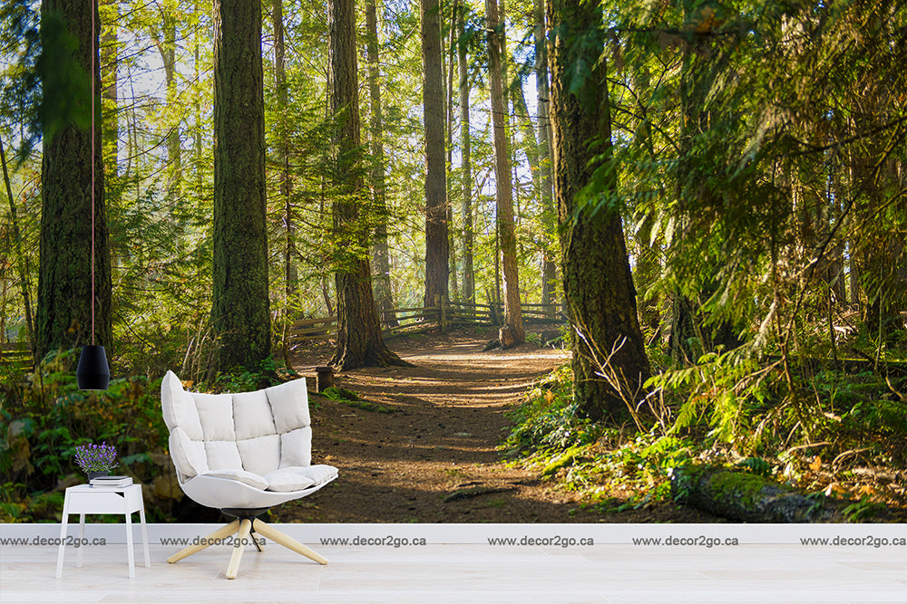 A cozy white armchair and a small side table placed in a serene forest with The Forest Path Wallpaper Mural winding through tall trees, sunlight filtering through the vibrant greenery above.