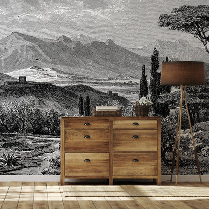 A wooden chest of drawers with six compartments is placed on a light wooden floor, and behind it is the Tuscan Serenity Wallpaper Mural by Decor2Go Wallpaper Mural, depicting the grand black and white scenery of the Tuscan countryside with its rolling hills, mountains, and trees. A tall floor lamp stands gracefully to the right of the dresser.