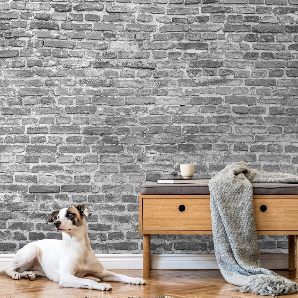 A white dog with brown and black patches lies on the floor beside a wooden side table against a Decor2Go Wallpaper Mural wall. The table holds a book and a white cup, with a Washed Grey Brick Wall Wallpaper Mural as the backdrop.