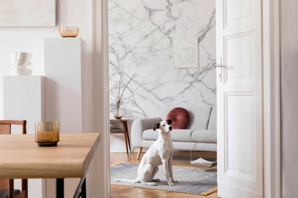 Living Room - A bright living room with Decor2Go Wallpaper Mural and modern decor, featuring a white dog sitting beside a stylish sofa, looking towards a partially open door.