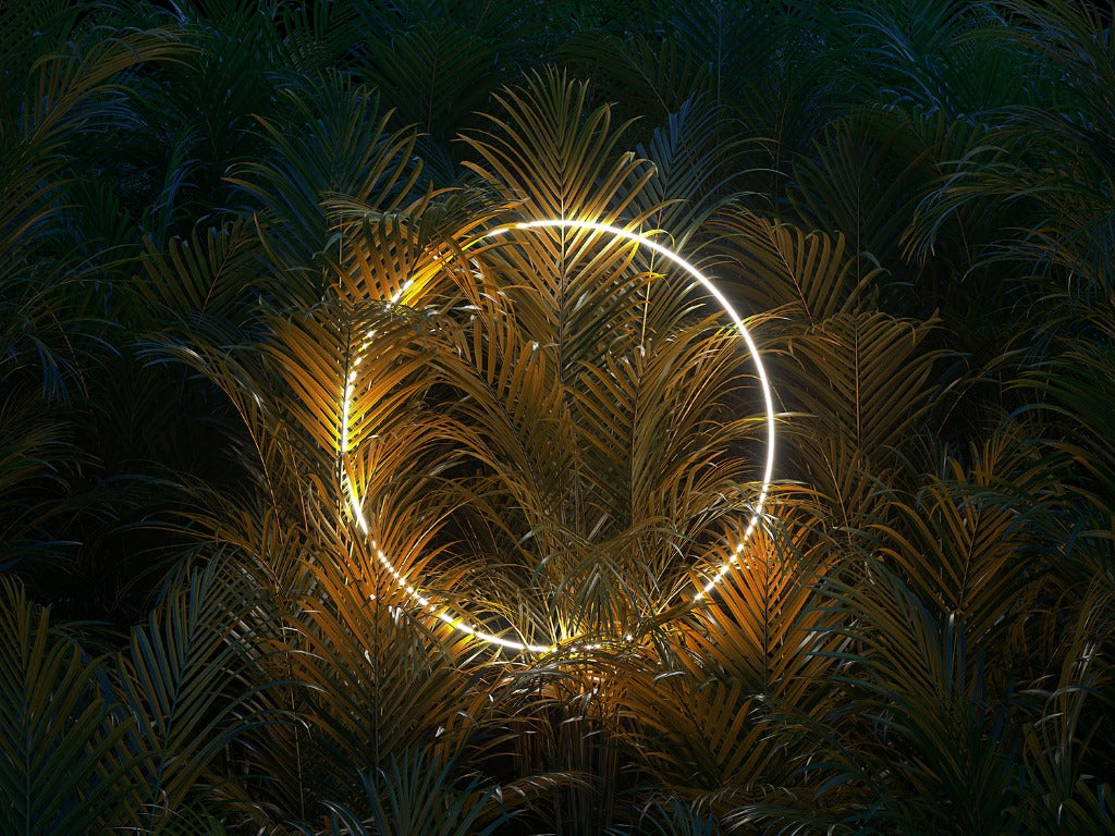 A Decor2Go Wallpaper Mural featuring Big Green Leaves with Ring Light wallpaper mural is positioned among dense tropical foliage, illuminating the fronds with a warm, golden glow against a dark background.