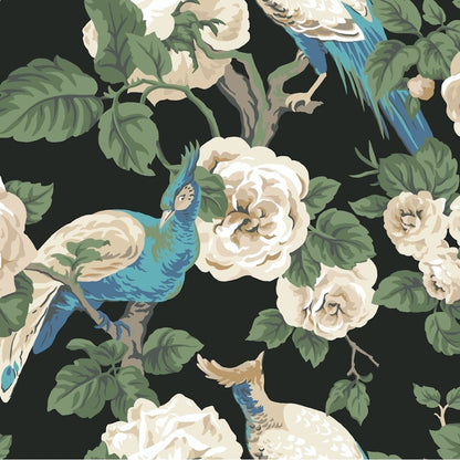 An illustration of two peacocks with colorful plumage, featuring blue and beige feathers, perched among large white flowers and lush green leaves on a dark Garden Plume (60 Sqs.Ft) wallpaper background from York Wallcoverings.