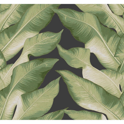 A York Wallcoverings Beverly Hills Wallpaper (60 SqFt) pattern of large, overlapping green leaves with detailed veins set against a dark gray background. The leaves create a dense, lush, and tropical feel, with varying shades of green adding depth and texture to the image.