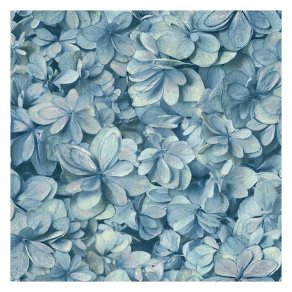 A close-up of numerous blue hydrangea flowers tightly clustered together, displaying delicate, overlapping petals with subtle variations in shade, creating a textured, almost dreamy floral pattern. This Hydrangea Wallpaper (56 SqFt) by York Wallcoverings features vinyl-coated, prepasted backing for easy application.