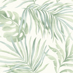 A pattern featuring light green tropical leaves scattered across a white background. The life-size leaves vary in shape and size, creating an airy and refreshing design, perfect for Paradise Palm Leaves (60 SqFt) by York Wallcoverings.